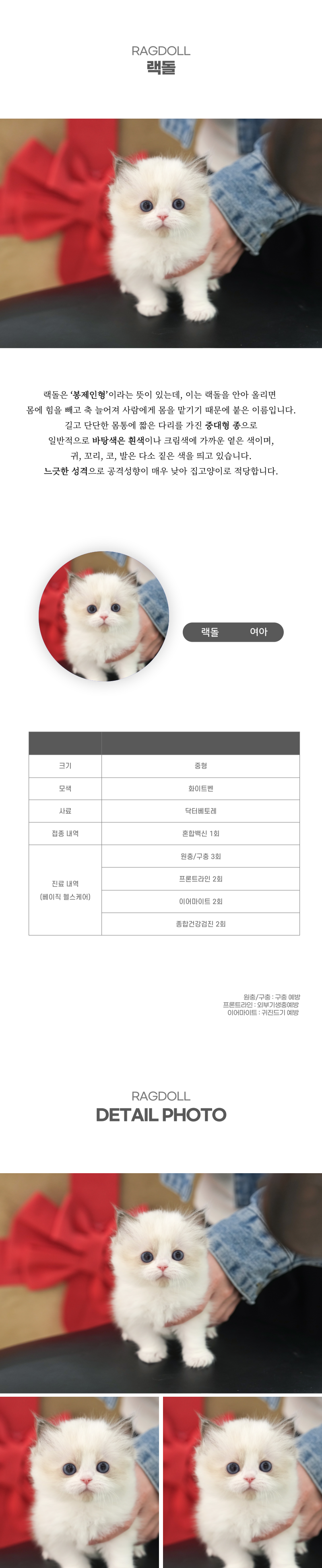 랙돌_상세이미지_2